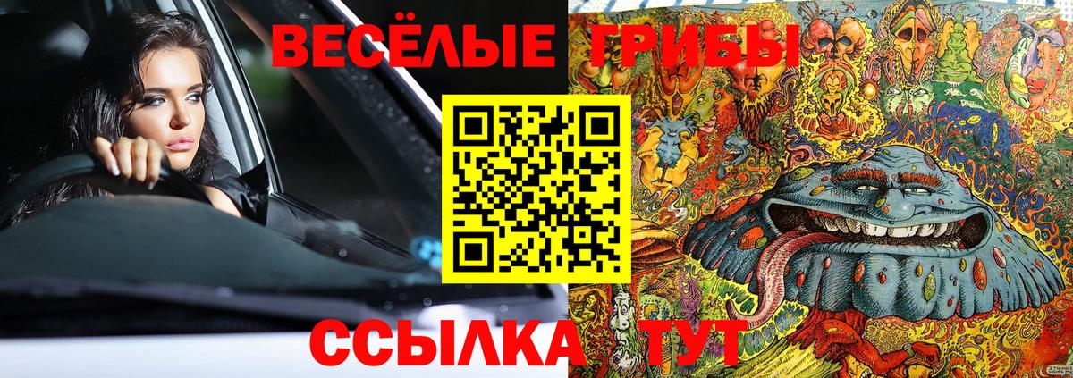 Гулькевичи  Галлюциногенные грибы Psilocybe  Вход с VPN  наркотики  Псилоцибиновые грибы Cubensis 
